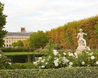 Paris Photography - Parisian garden, Fall, French home decor, floral, flowers, Living room art, Paris print, Large Wall Art, Fine Art Print