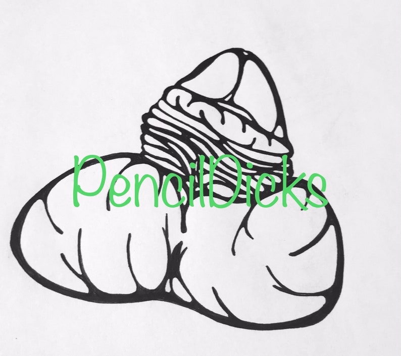 Custom Penis Drawing In Ink Black Line Art Abstract Style Etsy