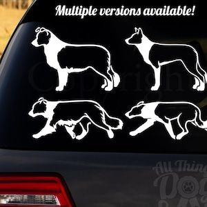 BORDER COLLIE Stack & Gait Vinyl Decal | Car, Laptop, Tumbler