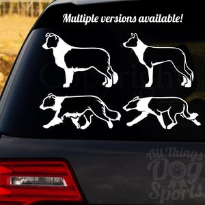 BORDER COLLIE Stack & Gait vinyl decal | Purebred Dog, Dog Sports, Conformation, Dog, Window Sticker, Car Decal, Bumper Sticker, Pet Gift