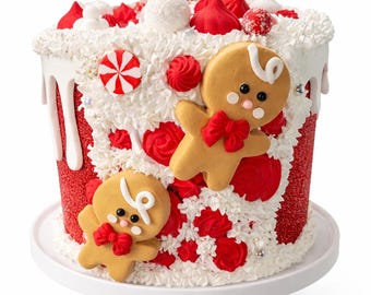 Faux Cake Christmas Gingerbread Cake