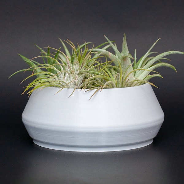 Shallow Planter | Pot for Shallow Roots | Succulents, Herbs | Large Air Plant Holder | Display | Modern | Minimalist | Plants Lover Gift