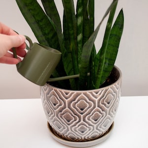 Long Gooseneck Miniature Precise Watering Can for Succulents Herbs Small Plants Holds 6oz (0.75 Cups) Indoor Plants Nordic Mini Watering Pot