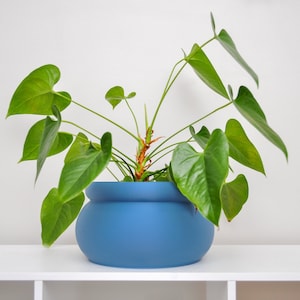 8 inch Planter for Cilantro Plant Basil Plant Basil Bowl 8 inch Plant Pot Indoor Planter 8-inch 8 in Planter Round Planter 8&#39; Planter