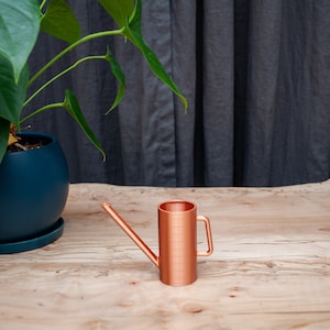 Miniature Precise Watering Can for Succulents, Herbs, Small Plants | Holds 3 oz (0.4 Cups) | Indoor Plants | Nordic | Mini Watering Pot