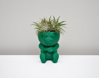 May include: Green ceramic planter shaped like a person with an angry expression, holding its arms crossed. The planter has a small air plant growing out of the top of its head.