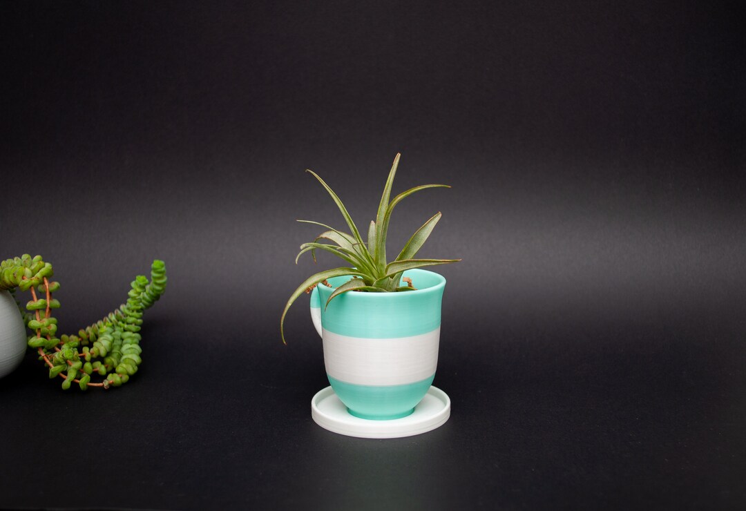 2 Colors Coffee Cup & Saucer Planter for Succulents Air Plants Tea Cup