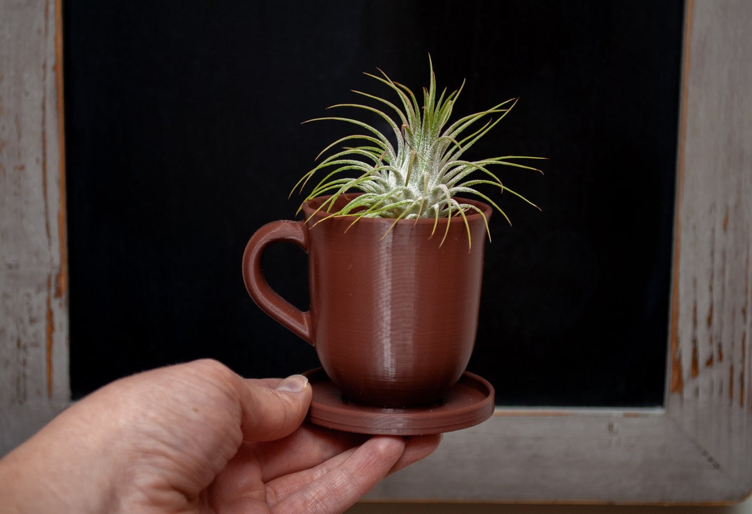 Coffee Cup & Saucer Planter for Succulents Air Plants Tea Etsy