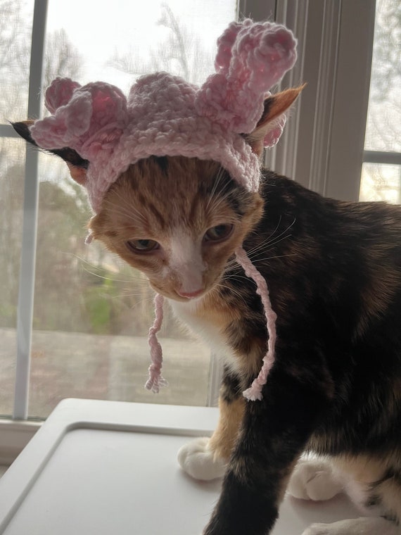 Axolotl Cat Hat - Etsy