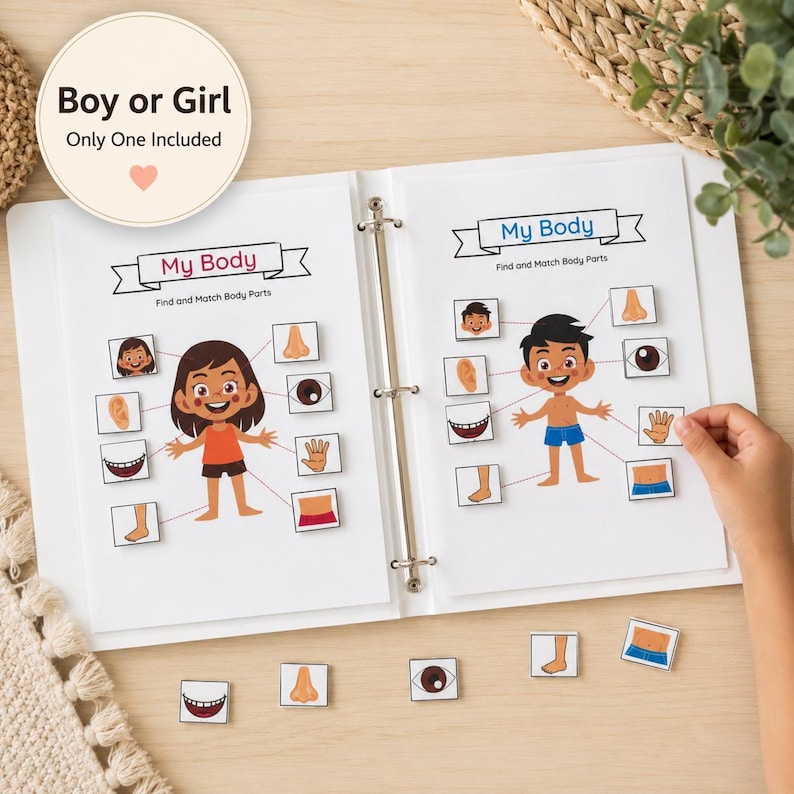 Toddler Busy Binder. Educational Matching Activities. Personalized Montessori Busy book. Ages 1-4. image 6