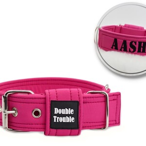 May include: Pink dog collar with a silver buckle and a black label that says "Double Trouble". The collar is personalized with the name "Aashi" in black lettering.