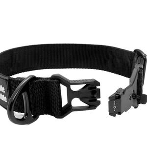 Könnte beinhalten: Schwarzes Hundehalsband mit robuster Schnalle und D-Ring. Das Halsband trägt den Text "Double Trouble" auf einem Aufnäher. Die Schnalle ist von der Marke Fidlock.