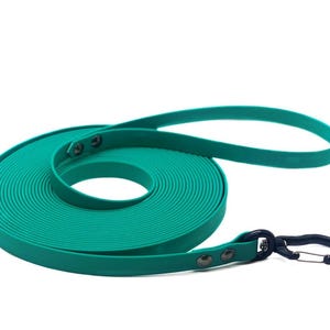 Könnte beinhalten: Eine teal-farbene Hundeleine, aufgerollt und einsatzbereit. Die Leine hat einen schwarzen Metallclip und Nieten und besteht aus einem strapazierfähigen, flexiblen Material.