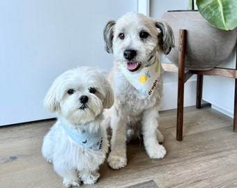 Customized Pet Bandana