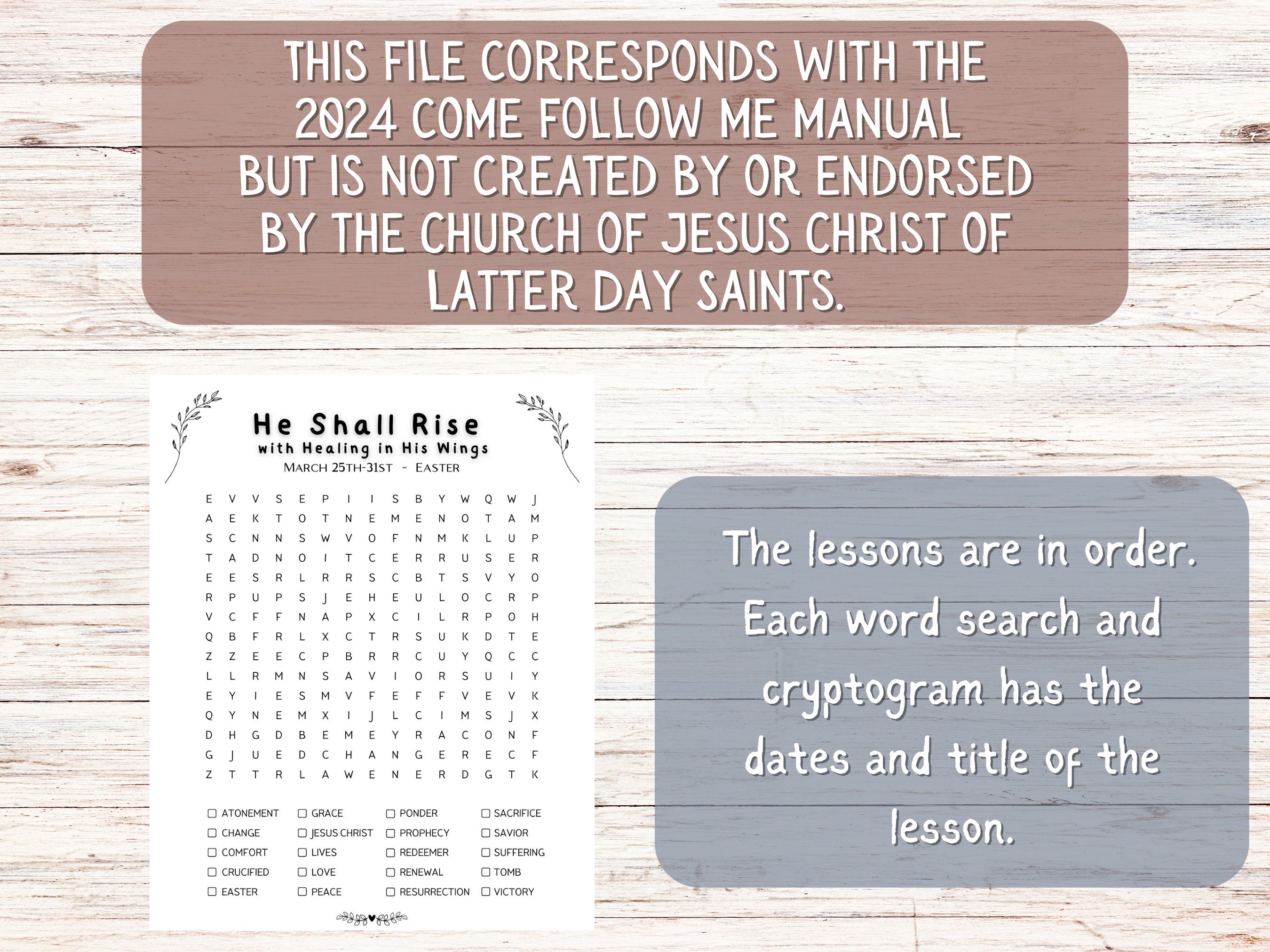 Come Follow Me Resource Book of Mormon 2024 Word Search & Cryptogram