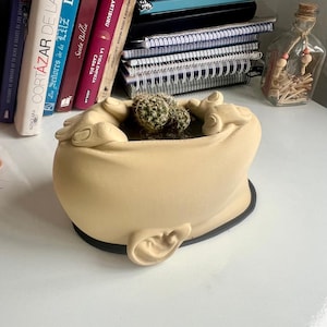 The silent cry of nature "pot plant" // El grito silencioso de la naturaleza "Maceta"