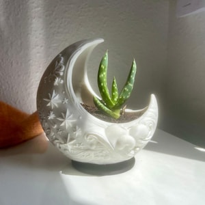 Puede incluir: Una maceta blanca de cerámica con forma de luna creciente y una pequeña planta suculenta. La maceta tiene un diseño detallado de estrellas y nubes. La suculenta tiene hojas verdes con manchas blancas. La maceta se asienta sobre una base negra.