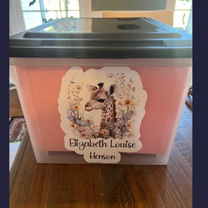 Milestone Box, Milestone Tote, Name and Folder Labels , Sticker Name , DIY Baby Memory Box , DIY Kids File Box, Baby Girl, Baby Boy