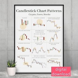 May include: A framed print displaying "Candlestick Chart Patterns" with diagrams for crypto, forex, and stocks. The print features terms such as "Hammer," "Bullish Engulfing," and "Support & Resistance." A small succulent in a white pot is in the foreground.