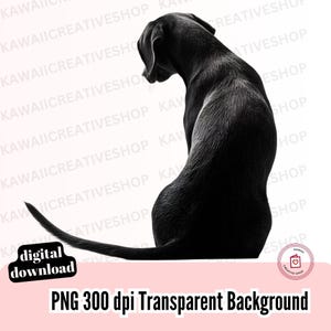 Zwarte hond silhouet PNG Hondenliefhebber clipart Honden omtrek grafisch voor sublimatie en digitale knutselen Commercieel POD-gebruik