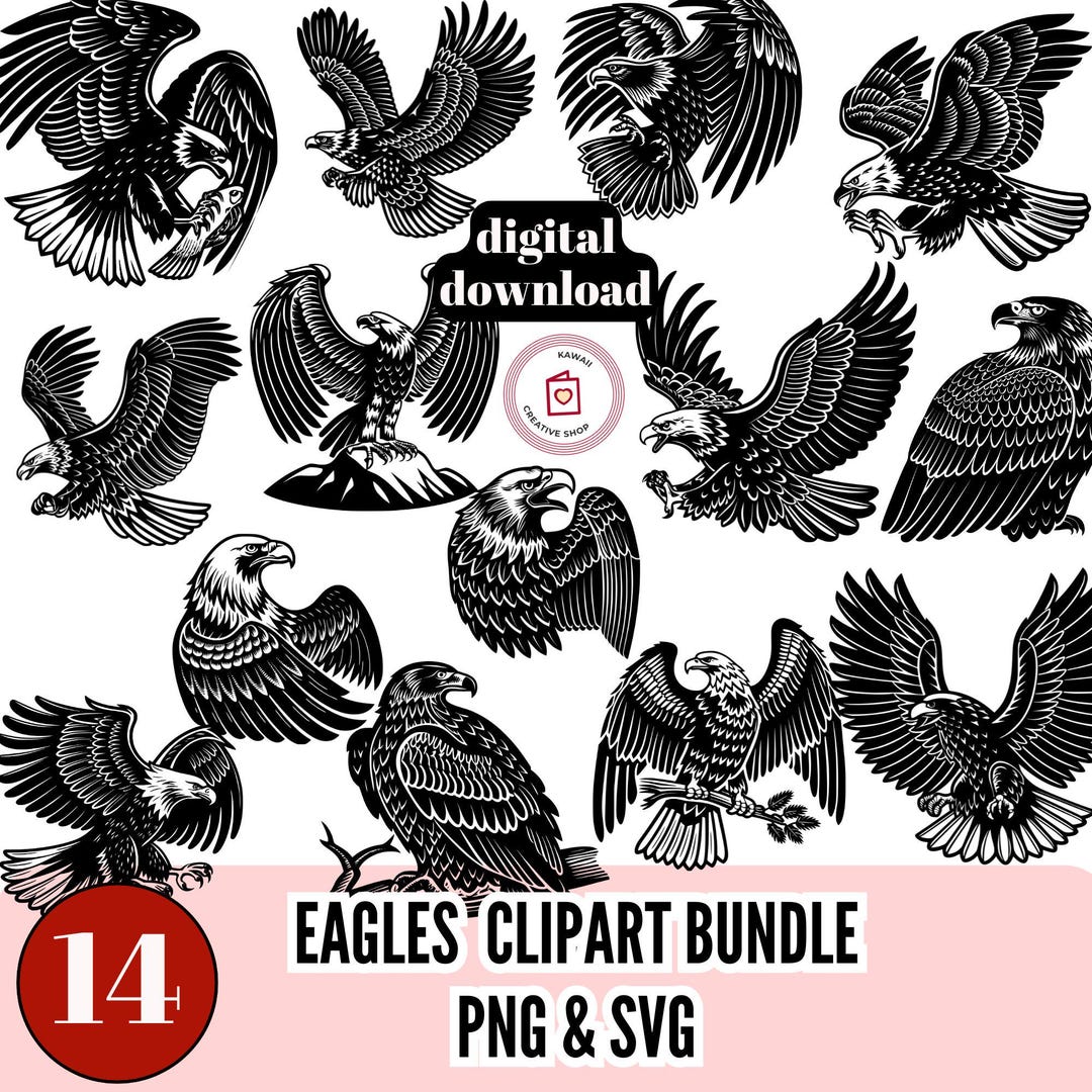 Eagle PNG SVG Clipart Bundle 14-piece Digital Illustrations for ...