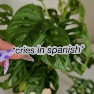 Cries in Spanish Sticker Latina