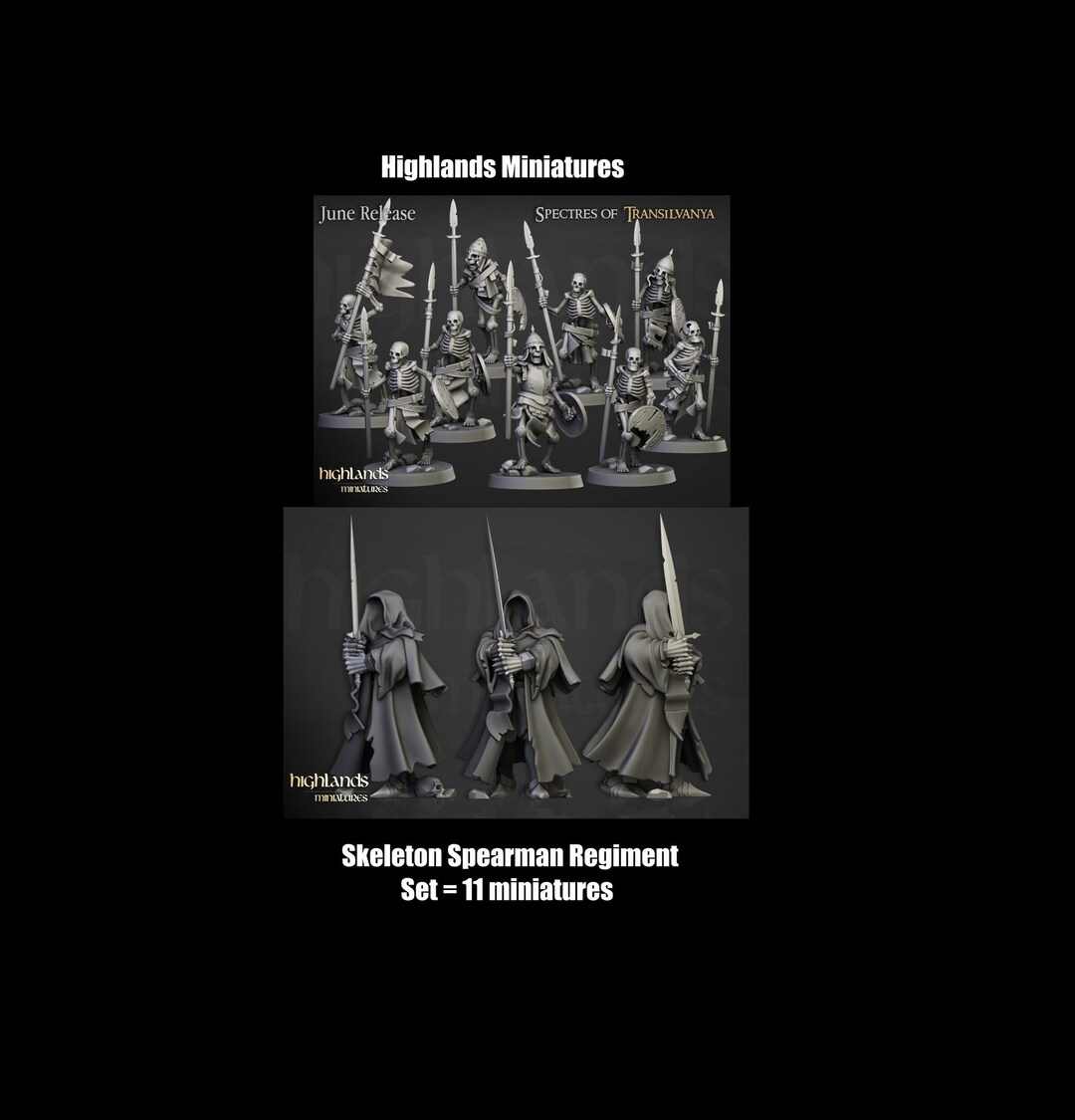 Highlands Miniatures Skeleton Regiment / Undead Boyar Warband / Wraith ...