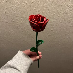 1 Forever Rose