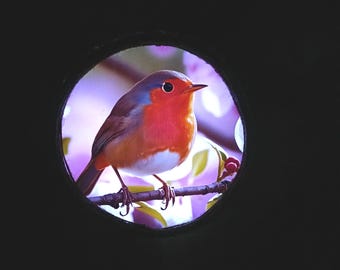 Kinkiet solarny Robin, dekoracja ogrodowa, lampka nocna LED