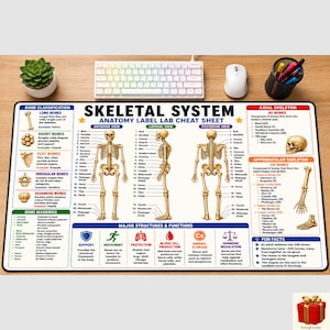 Op de afbeelding: Een rechthoekige bureaumat met een gedetailleerde anatomische kaart van het skeletstelsel, inclusief voor-, zij- en achteraanzichten van een menselijk skelet, classificaties van botten en informatieve teksten over functies en feiten.
