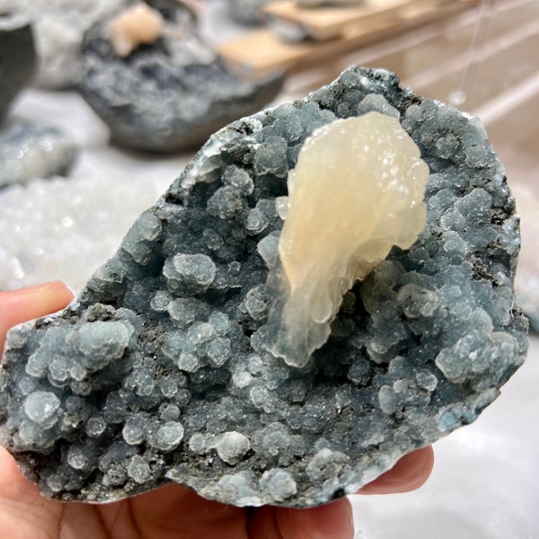 Chalcedony Geode - Etsy