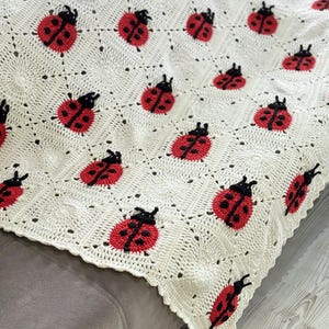 Può includere: Coperta all'uncinetto color crema con un motivo ripetuto di coccinelle rosse e nere. Le coccinelle sono uniformemente distanziate sulla coperta, che è drappeggiata su una superficie grigia. I bordi della coperta hanno un design a conchiglia.