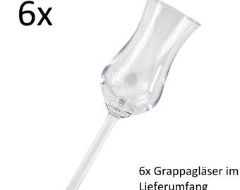 6x grappa glass without foot