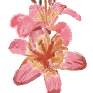 Lilies Painting Print, Hand Painted Art, Oil Painting, Home Decor, Wall Art, Floral Painting, Lilies, Flowers, Housewarming Gift, Handmade