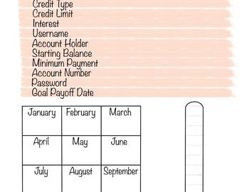 Debt Payoff Tracker Printable, Debt Free, Digital Download, Printable Bullet Journal, Money Planning, Printable Planner, Finances, Debt Plan