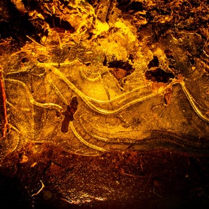 Cave Painting