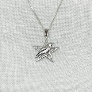 Peut inclure: Collier avec pendentif en argent représentant un corbeau perché sur une étoile à cinq branches.
