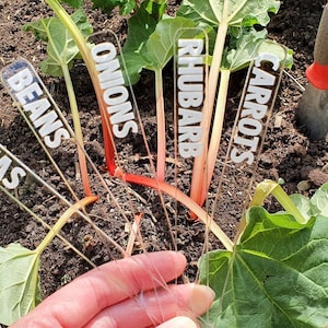May include: Clear plastic garden markers with white text labelling various vegetables: Peas, Beans, Onions, Rhubarb, and Carrots. The markers are placed among the plants in the soil, with a small trowel visible in the background.
