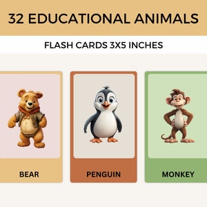 Educatieve dierenflitskaarten, lunchboxkaarten, leuke en speelse dierenfeiten