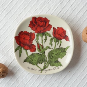 Puede incluir: Un plato pequeño de cerámica blanquecina con una ilustración botánica de rosas rojas y hojas verdes. Tres nueces se encuentran alrededor del plato sobre una superficie blanca texturizada. El texto "rosa polyantha" está presente.