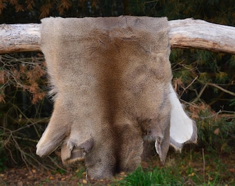 Peau de chevreuil ! Peau de cerf (Capreolus capreolus) des forêts polonaises, cadeau unique, très beau, tapis de cerf, tapis d'ours, idée cadeau, housse de siège