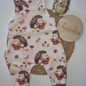 Baby Strampler / Outfit für Neugeborene  /Igel / Herbst / Handmade / Geburtsgeschenk