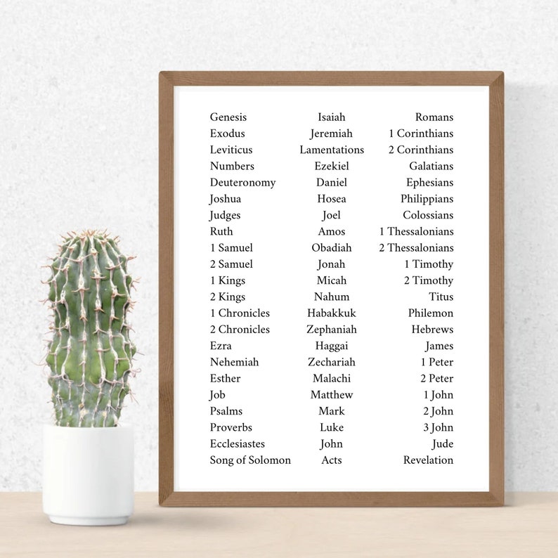 May include: A framed print with a list of books from the Bible, including the Old Testament and New Testament. The print is in a brown frame and is hanging on a white wall. A small cactus plant is in a white pot in the foreground.