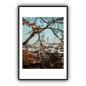 Herbstspaziergang - Stadtbild - Fernsehturm Žizkov, Prag, Tschechien - Landschaft / Foto / Baum / Herbst / Wandkunst / Urban