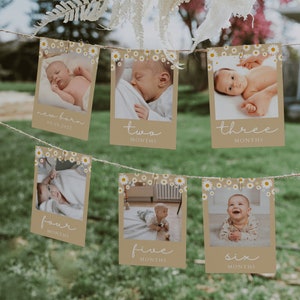 First Birthday Photo Banner, Daisy 1st Birthday Photo Banner, Boho Beige Monthly Milestone Photo Cards, Birthday Photo Cards | ANA