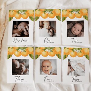 Bannière photo premier anniversaire, bannière photo 1er anniversaire Little Cutie, cartes photo orange jalon mensuel, Clementine DIY | CLEM