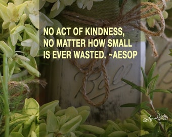 Flowers and Aesop Kindness Quote Digital Download