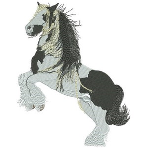 Può includere: Un cavallo bianco e nero con una lunga criniera e coda fluenti. Il cavallo è in piedi sulle zampe posteriori con le zampe anteriori sollevate in aria.