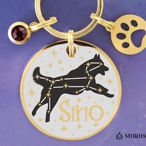 Può includere: Medaglietta per cani in oro con una silhouette nera di un cane con una costellazione di stelle. La medaglietta ha il nome "Sirio" scritto in lettere dorate su sfondo bianco.