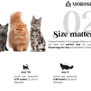 Dog tag for cats of all sizes.